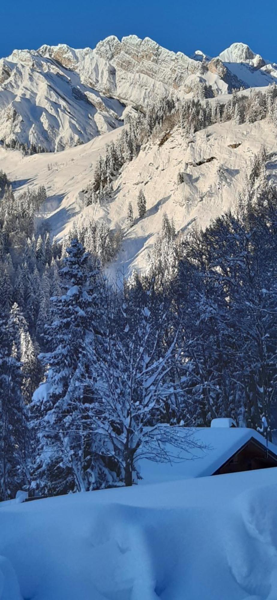 Chalet L'Armoy La Giettaz Eksteriør bilde